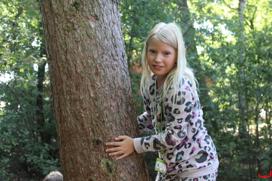 English at Camp - Walsrode - Happy Camper 6