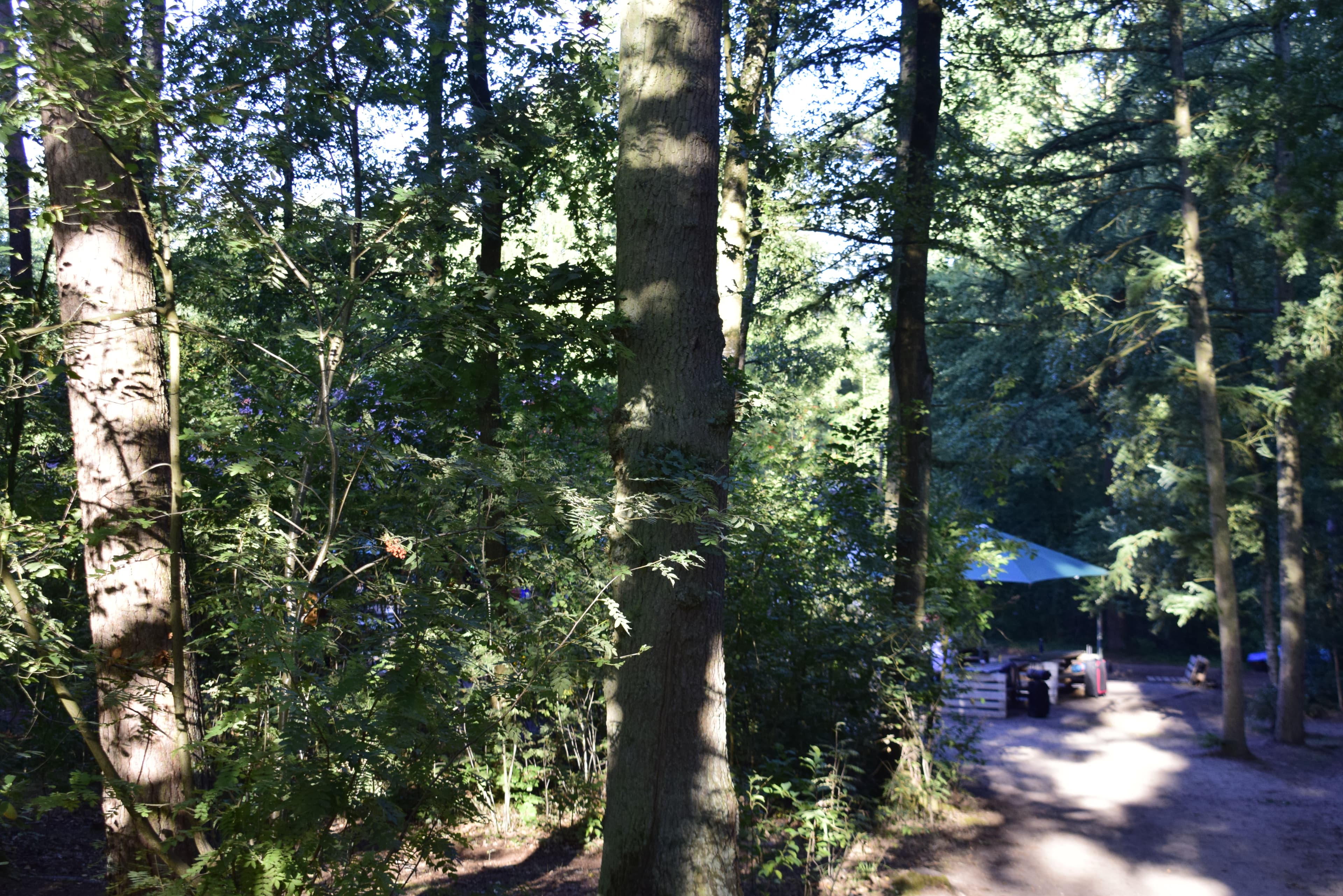 English at Camp - Walsrode - Landscapes 1