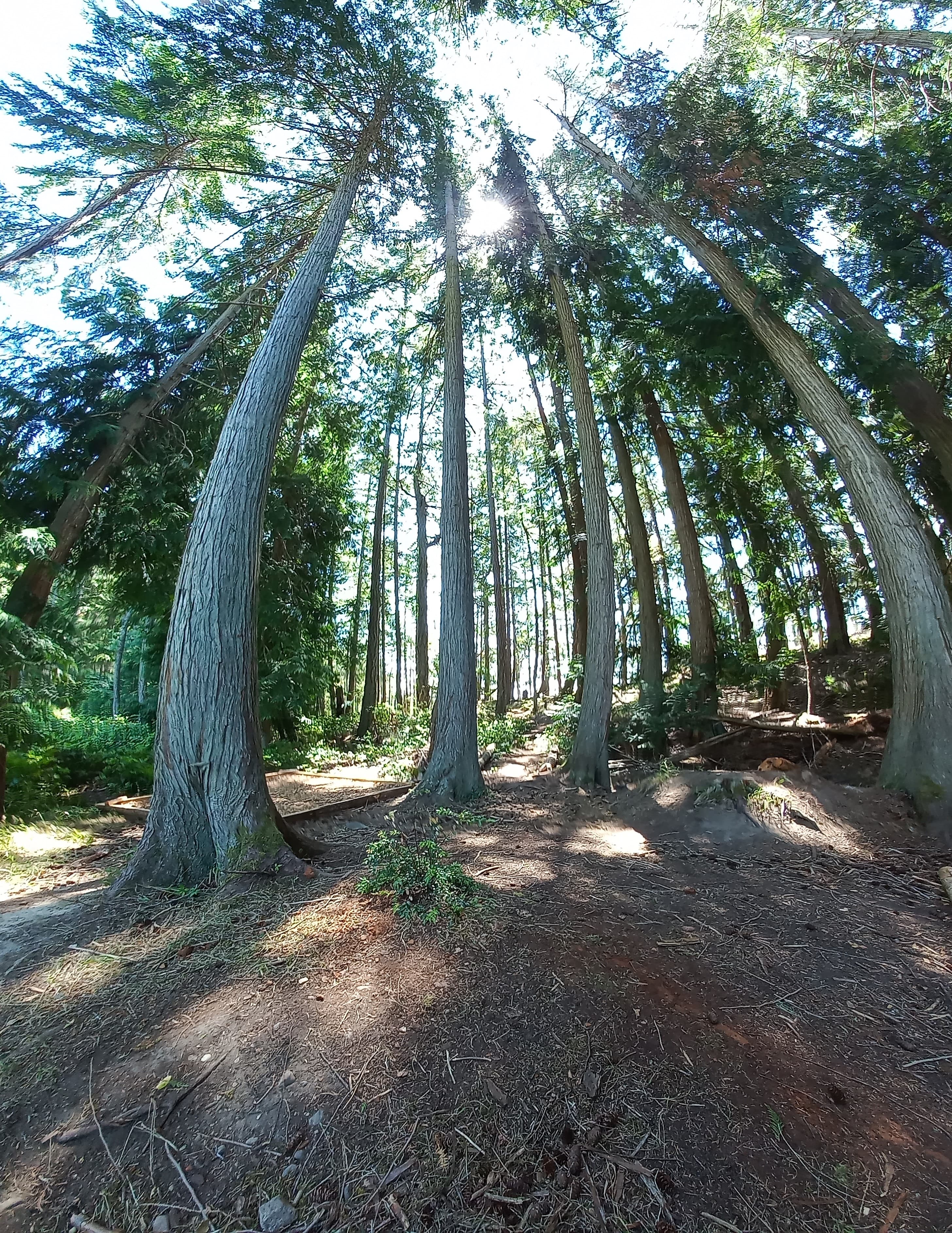 Yukon Explorer - Canada - Landscapes 5