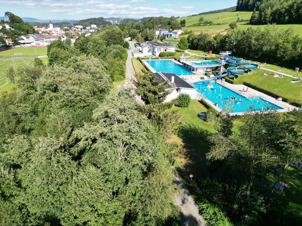 Liderazgo y trabajo en equipo - Premises 7