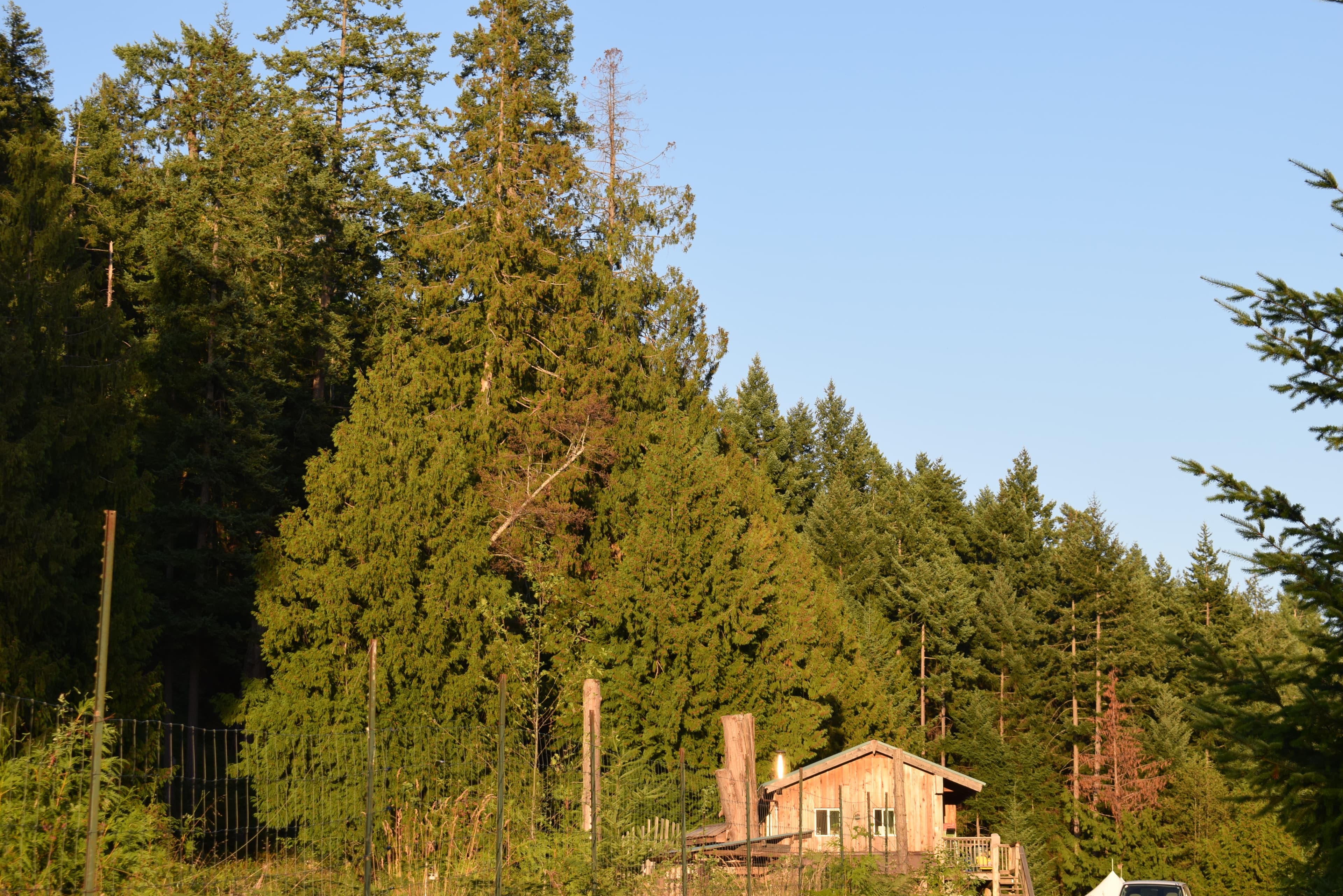 BC Explorer - Canada - Premises 7