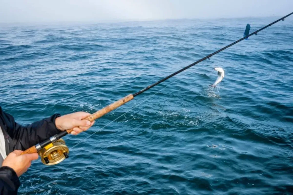 Camp Adventure Cornwall — photo 9