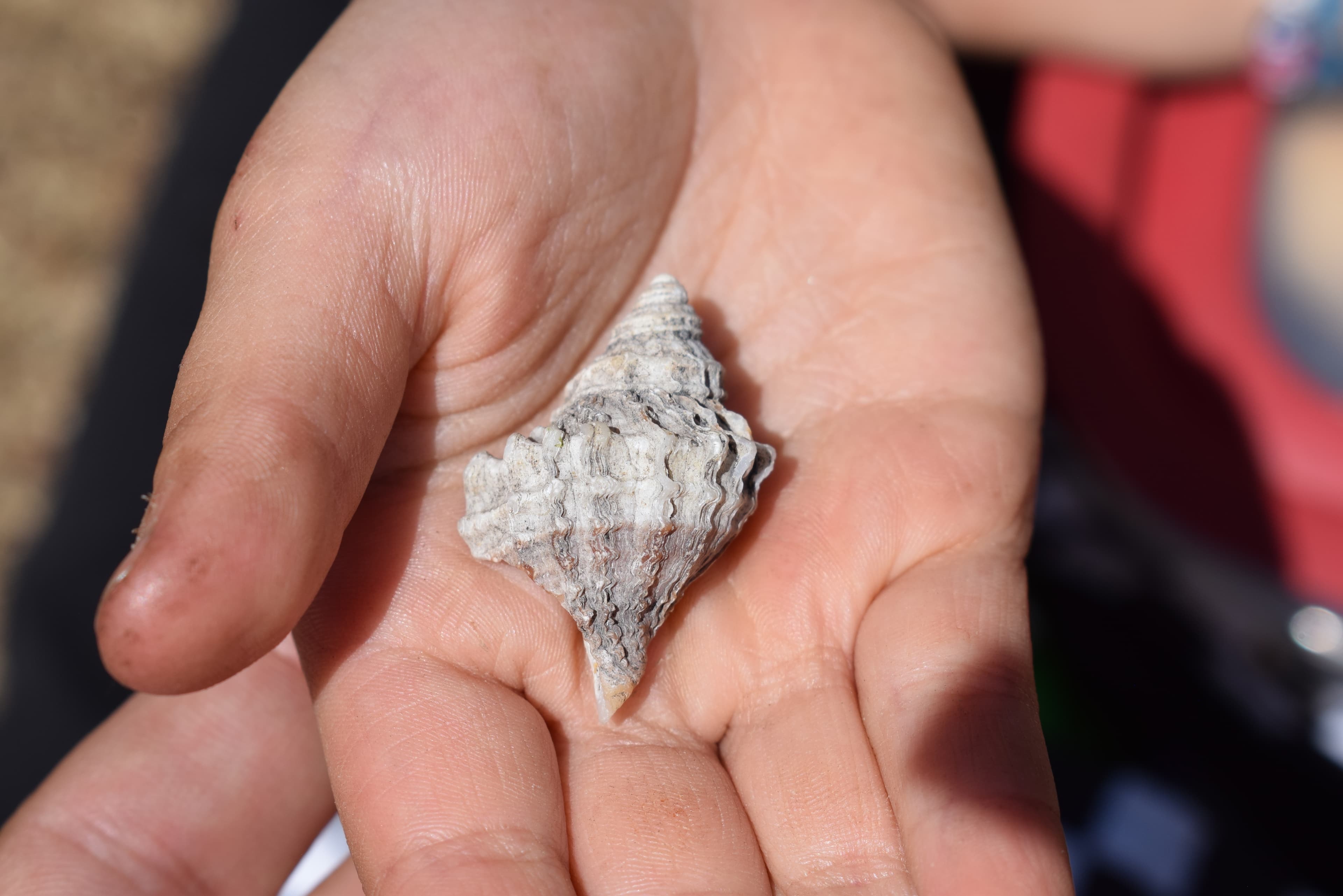 Fireside Kids Camp - Canada - Landscapes 21