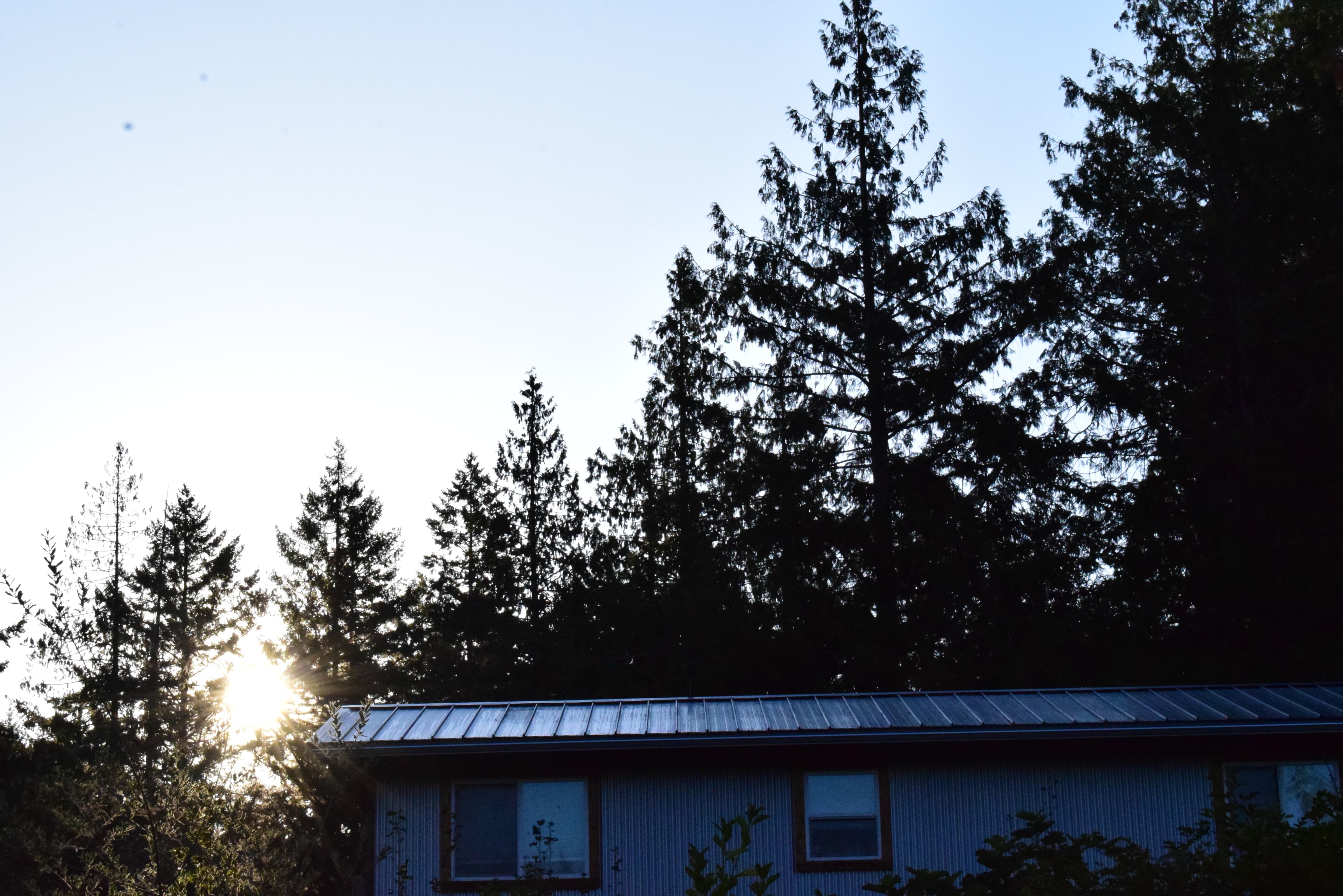 BC Explorer - Canada - Premises 8