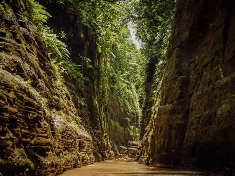 Gen-Z travels - Fiji Afternoon - Activities - Afternoon 2