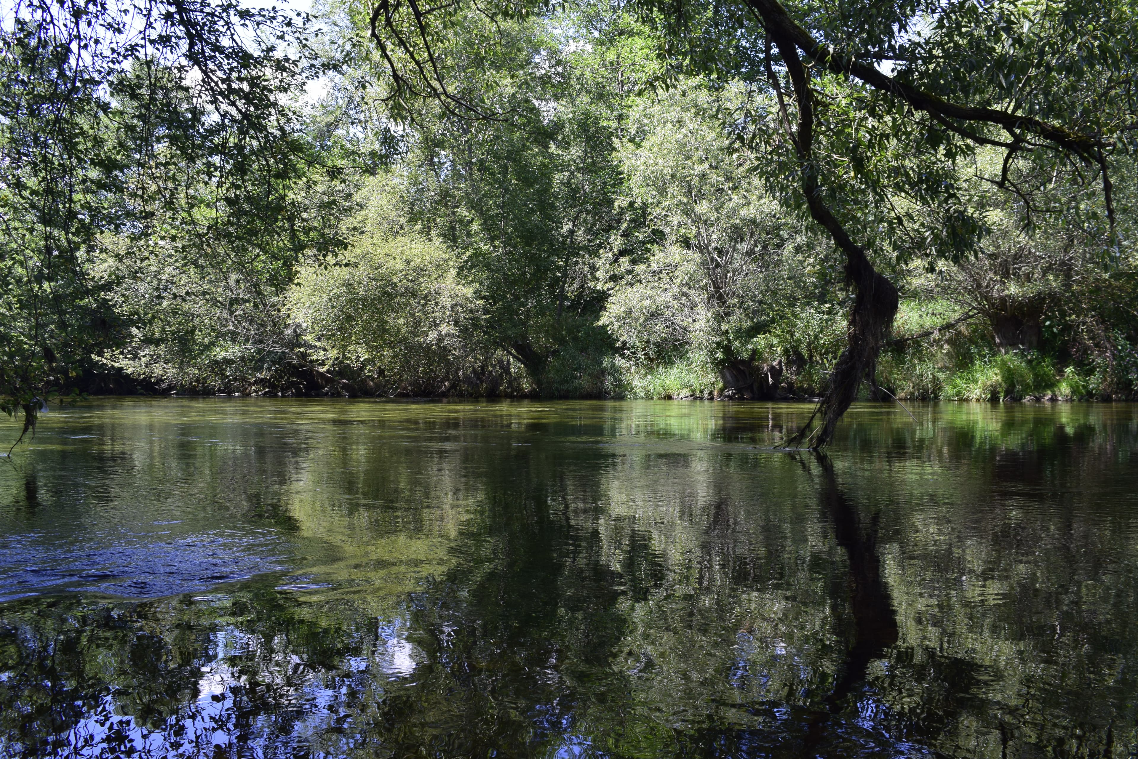 English Language Camp - Regen - Landscapes 9