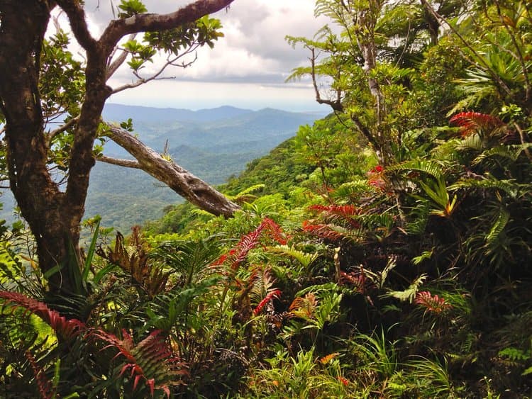 Gen-Z travels - Fiji - Landscapes 3