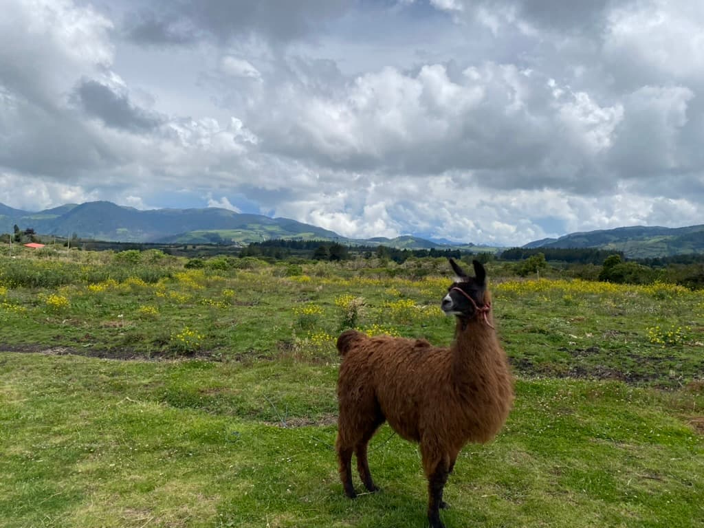 South America Quest - Landscapes 2