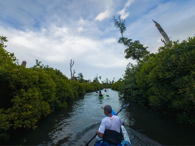 Gen-Z travels - Fiji Afternoon - Activities - Afternoon 1