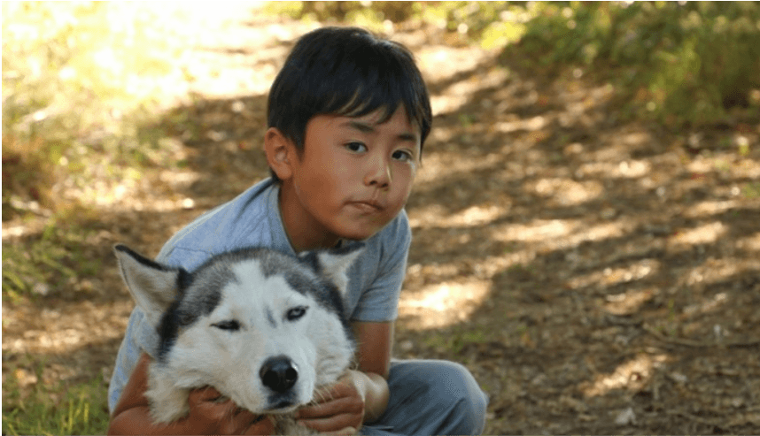 Husky Camp - Walsrode - regular 2