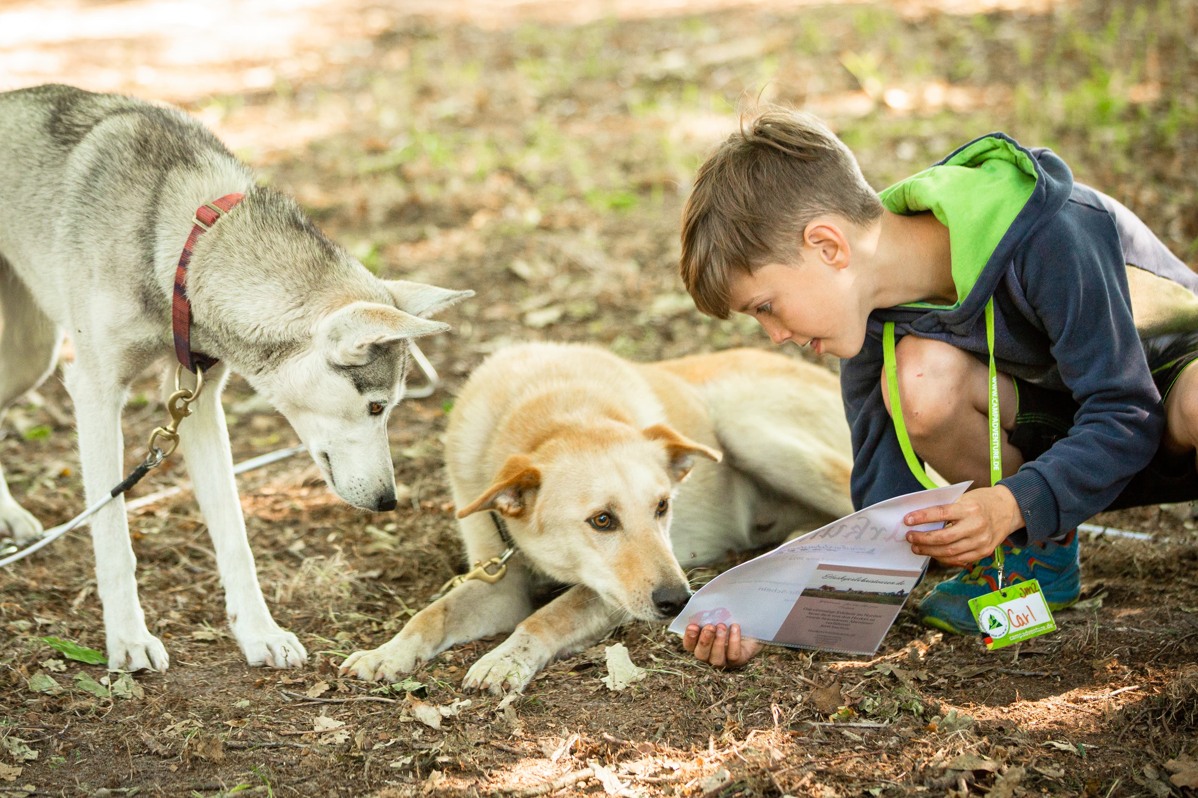 Husky Camp - Walsrode - regular 5