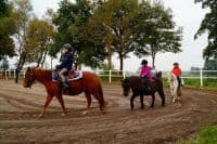 Camp d'équitation - Walsrode - regular 16