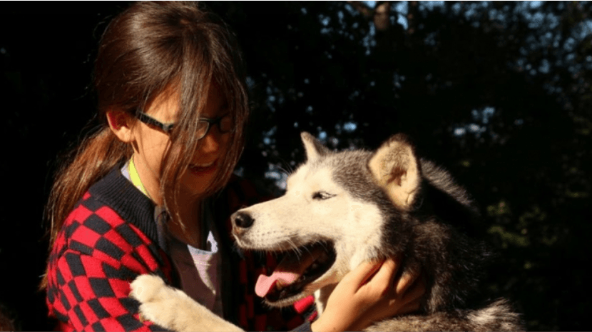 Husky Camp - Walsrode - regular 4