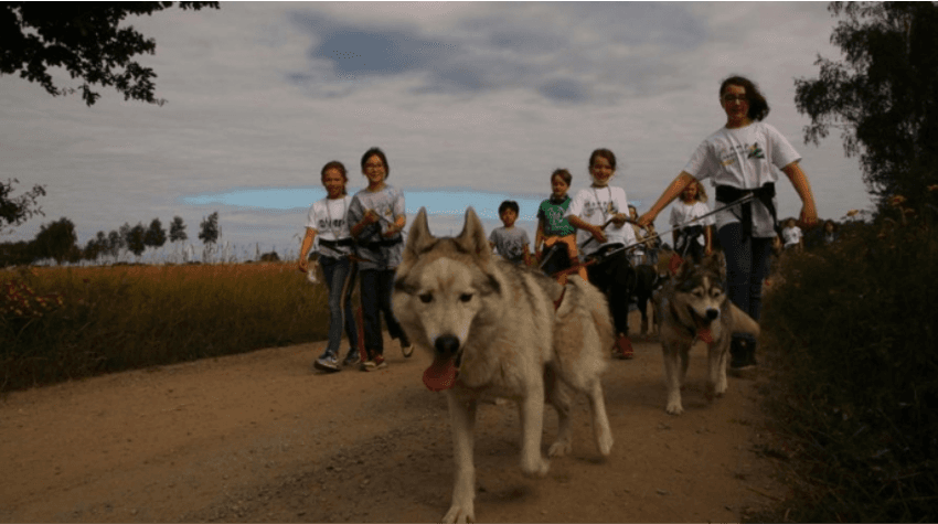 Husky Camp - Walsrode - regular 11