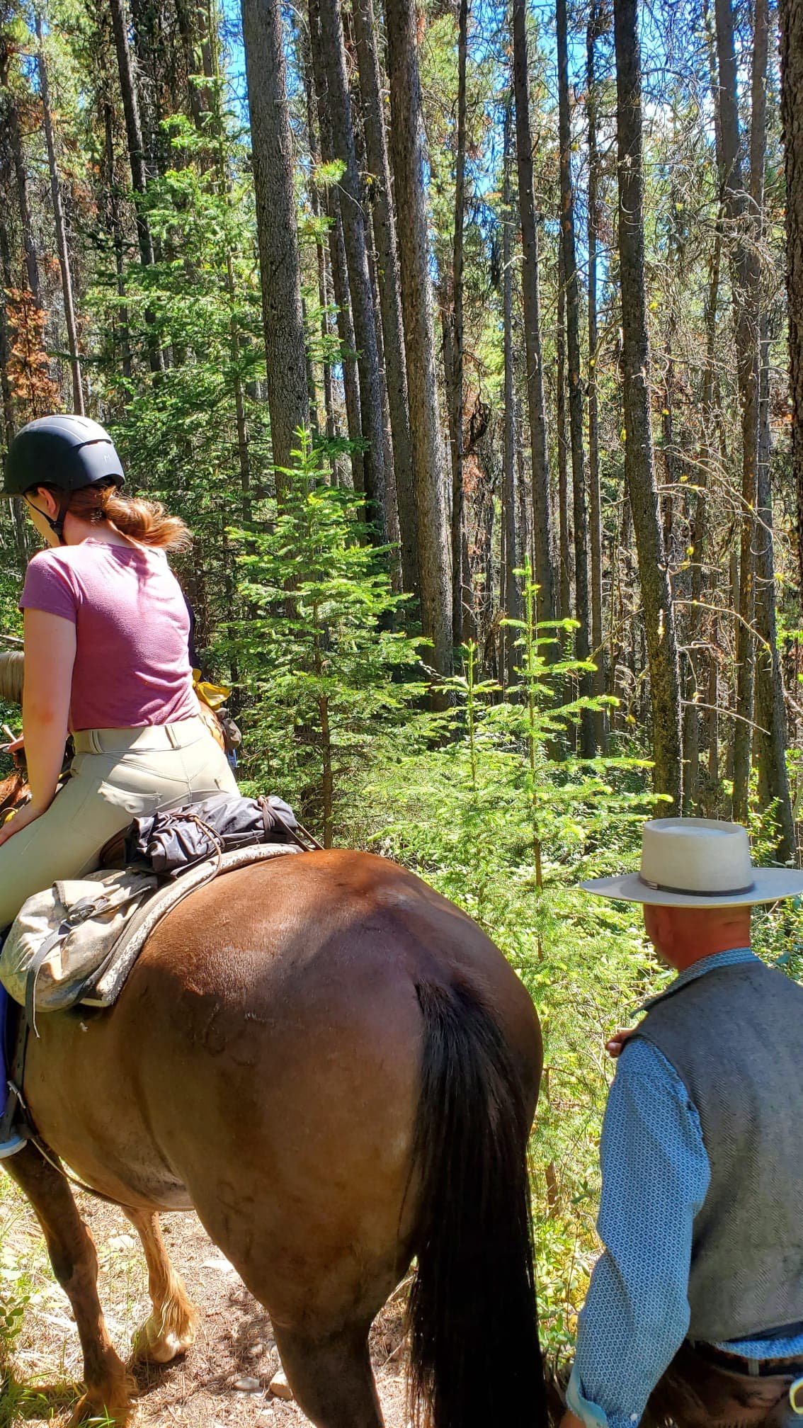 Camp d'équitation - Walsrode - regular 5