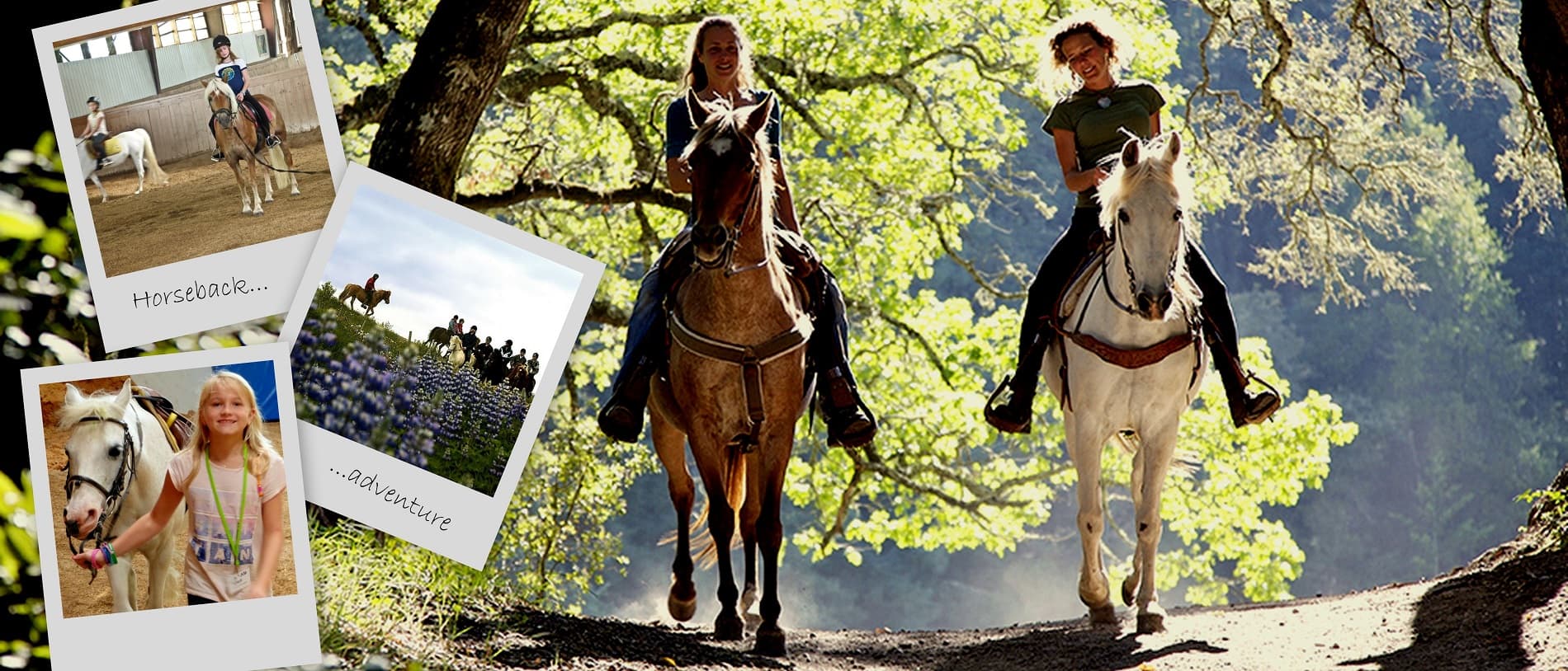 Camp d'équitation - Walsrode - regular 11