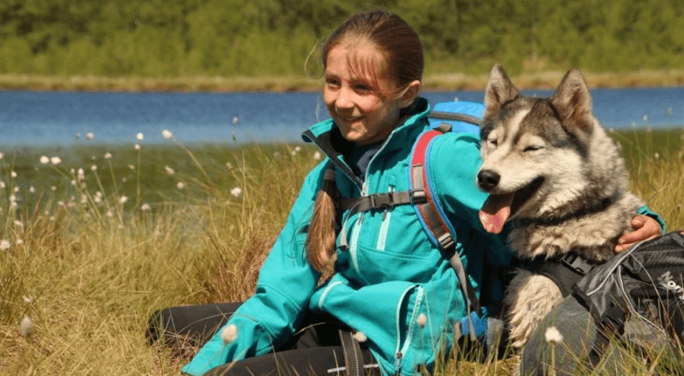 Husky Camp - Walsrode - regular 12