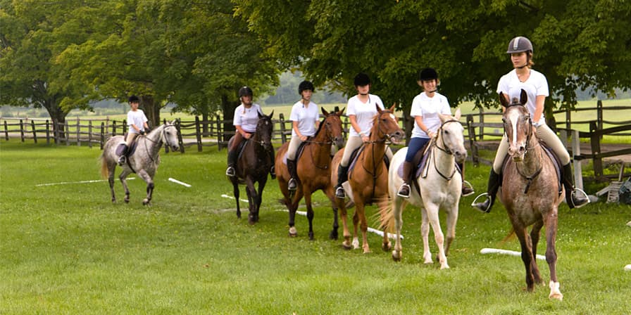 Horseback Riding Camp - Walsrode