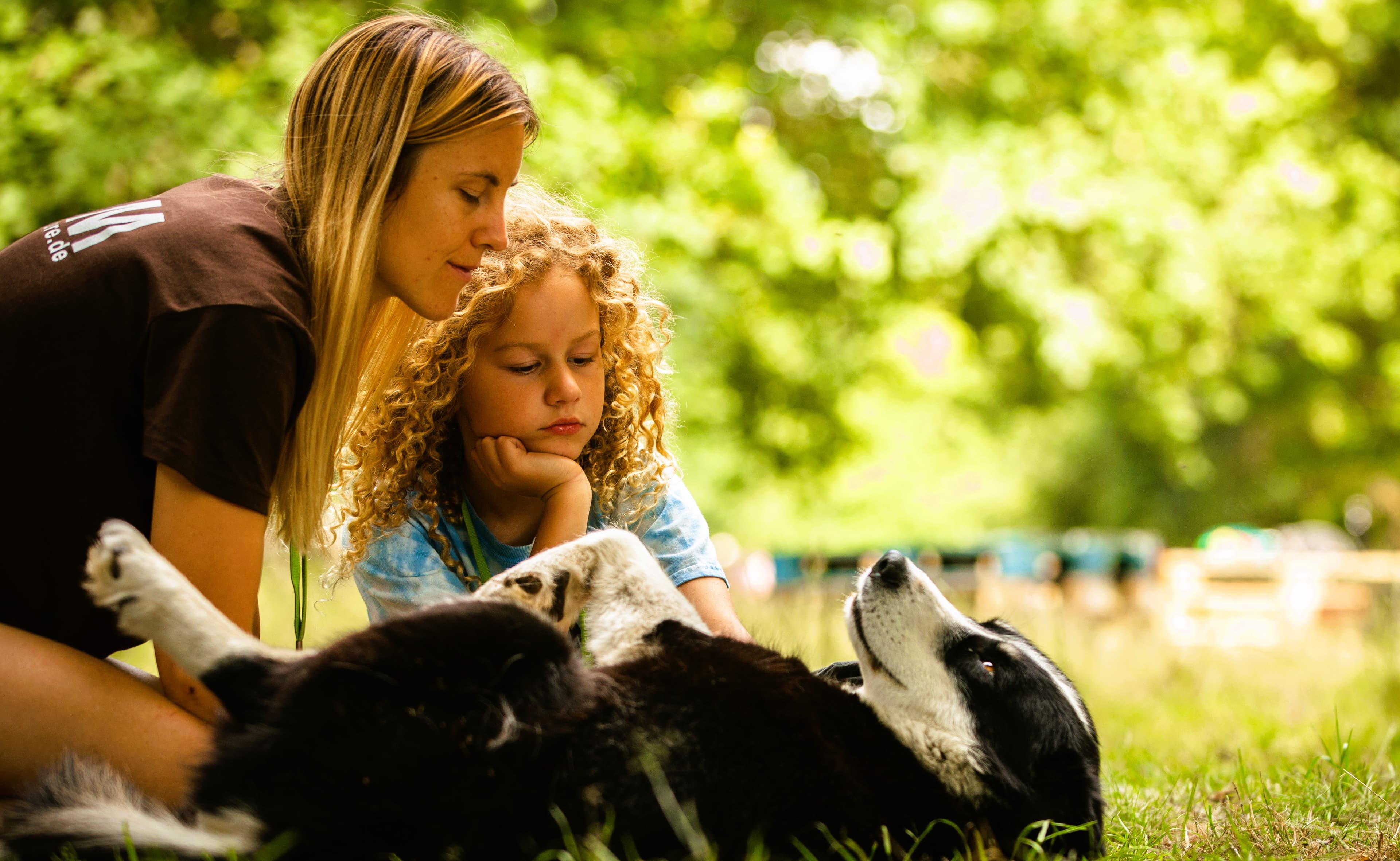 Husky Camp - Walsrode - regular 3