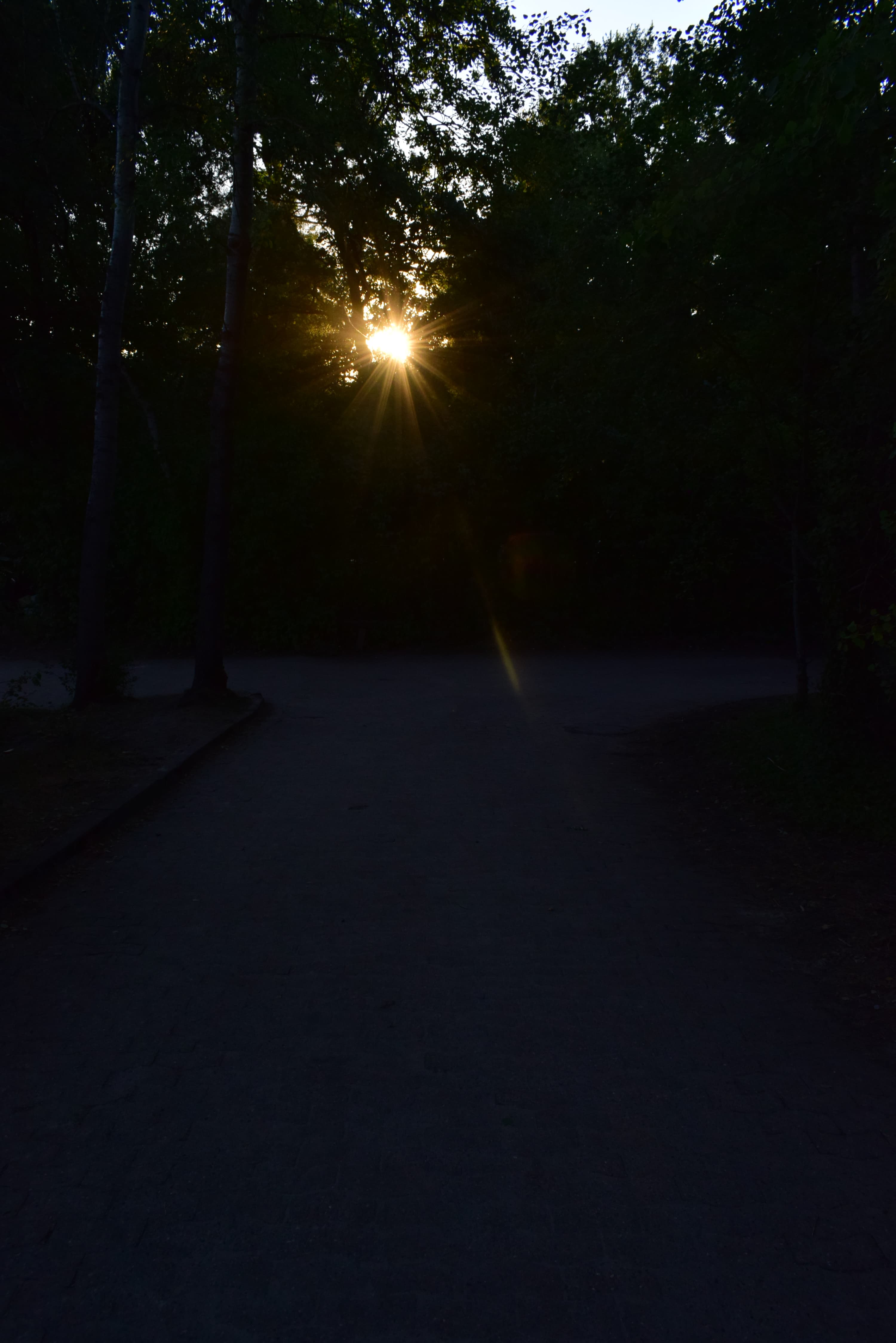 Camp de football (soccer) - Walsrode - regular 6