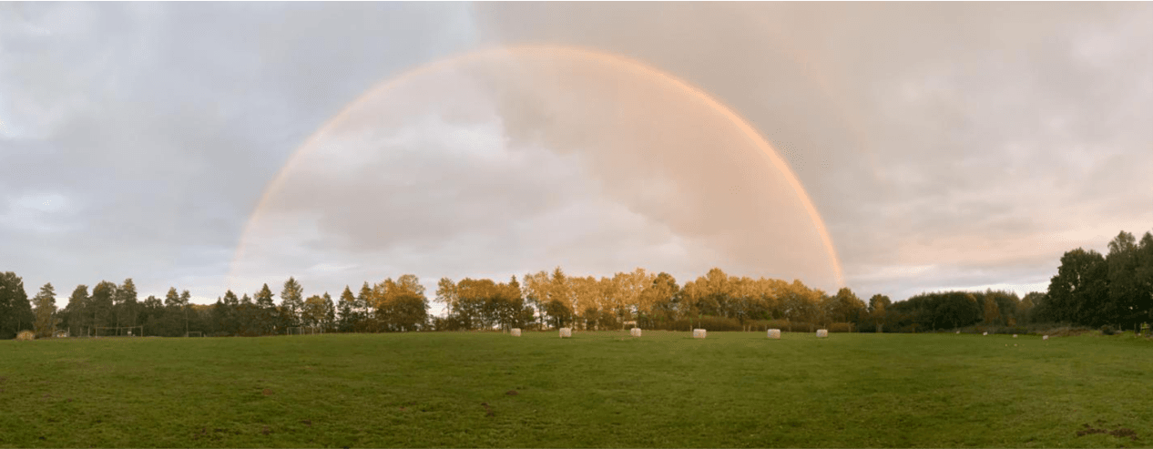 Adventure Sports Camp - Walsrode Evening - Activities - Evening 1
