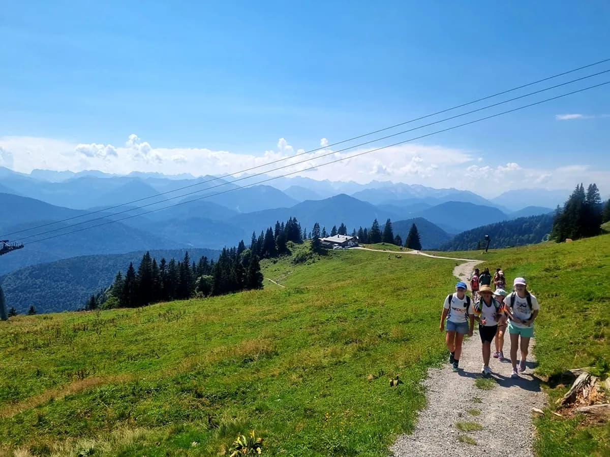 Penguincamp — photo 6