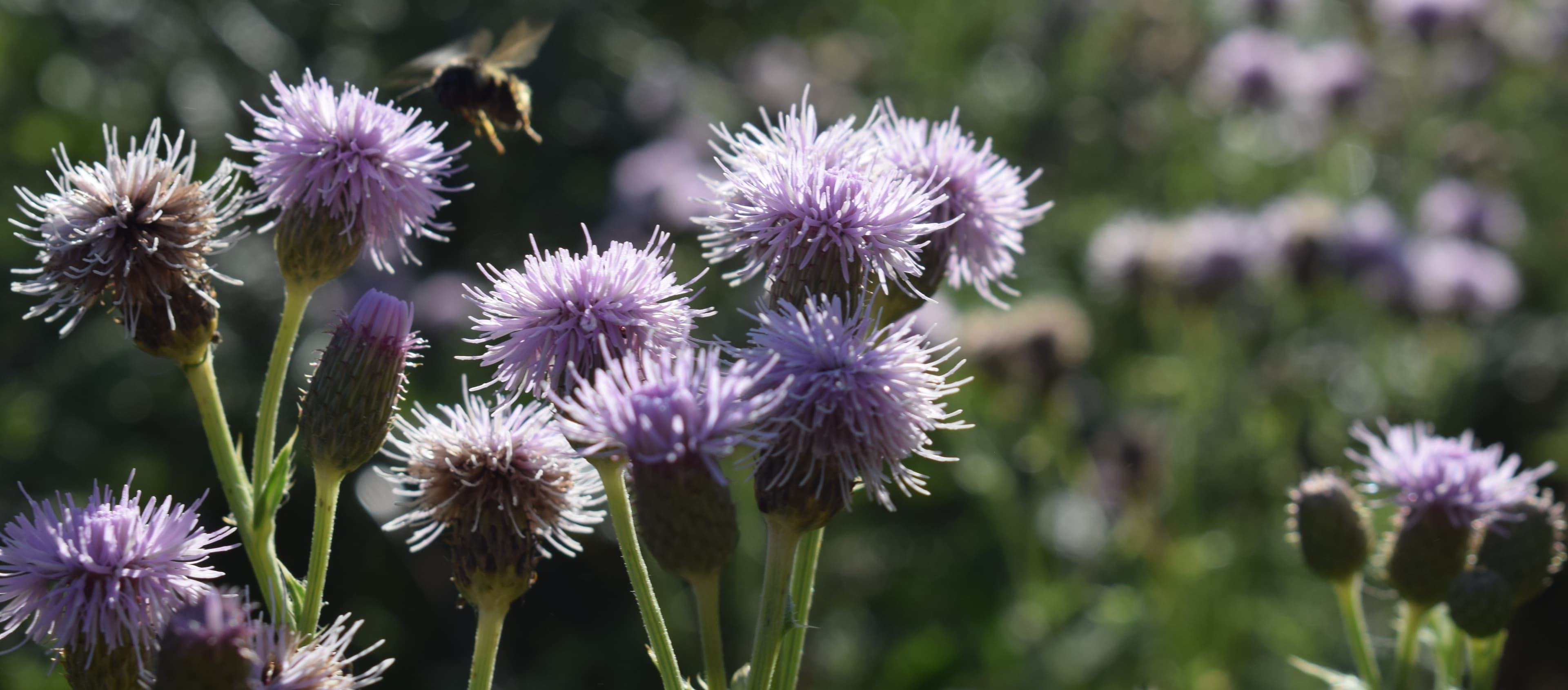 Fireside Adventures Canada — photo 28