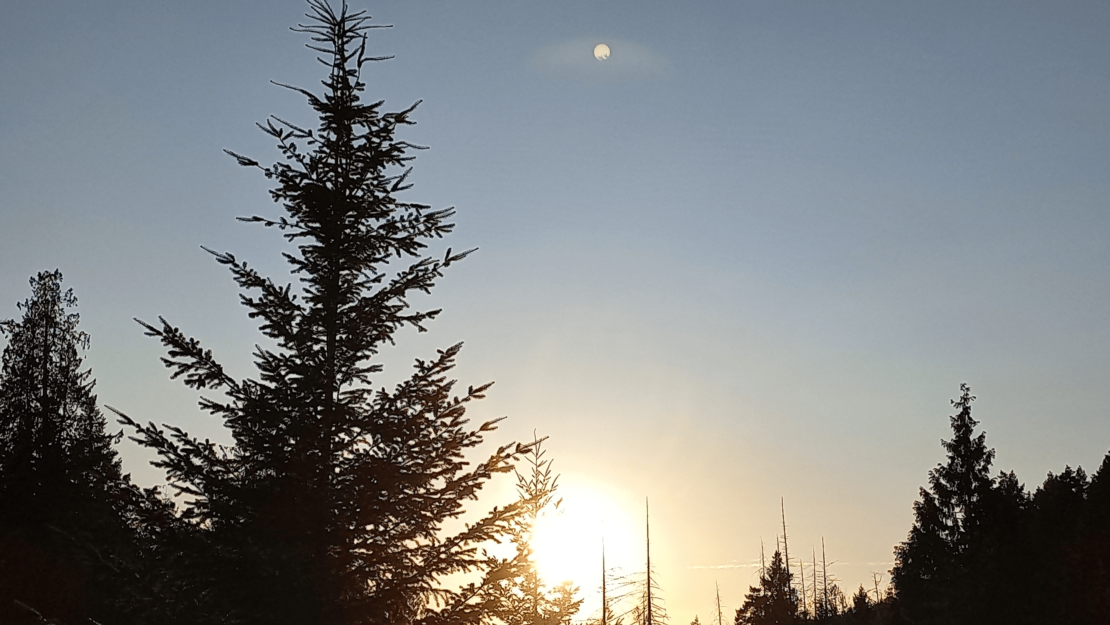 Fireside Adventures Canada — photo 10