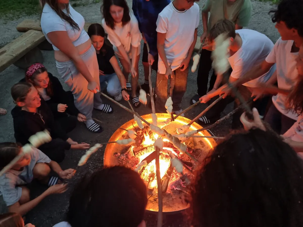 Penguincamp — photo 16