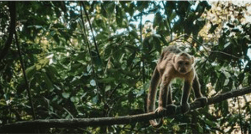 Gen Z Travels - South America — photo 3