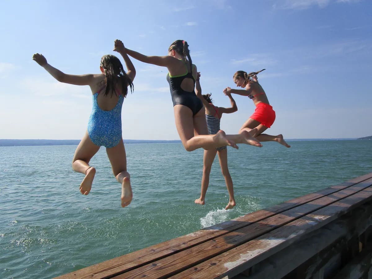 Penguincamp — photo 8