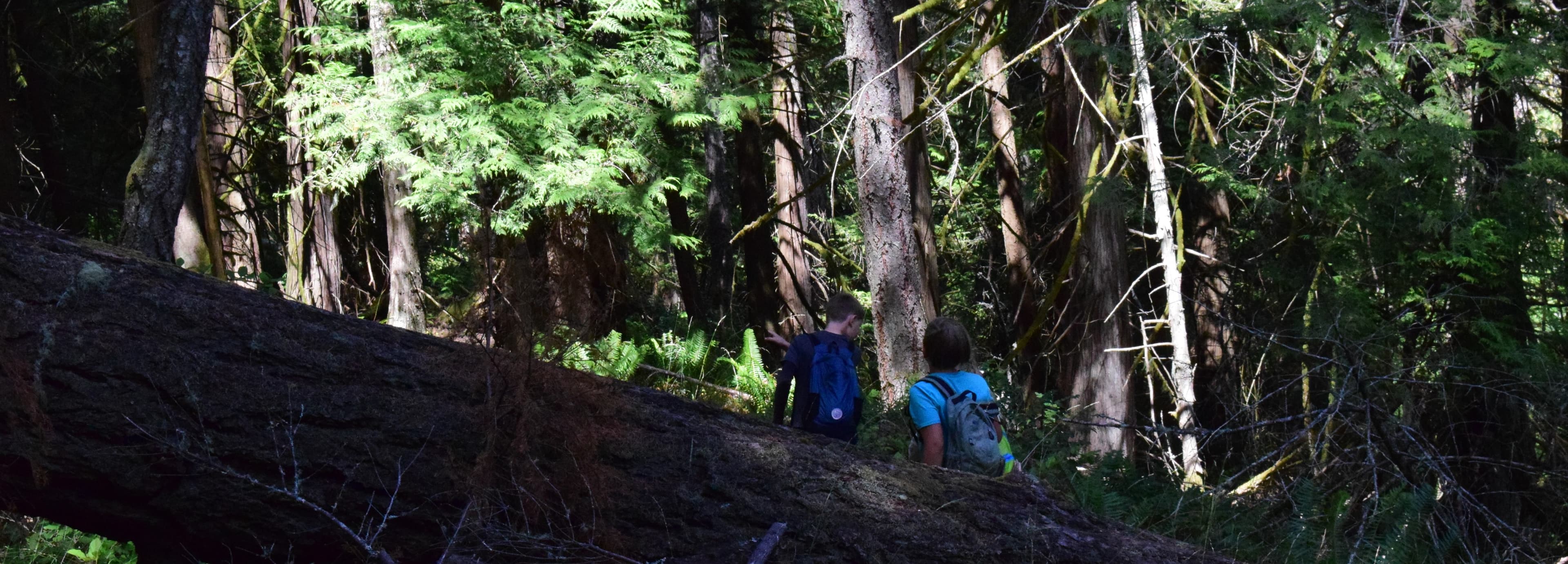 Fireside Adventures Canada — photo 20