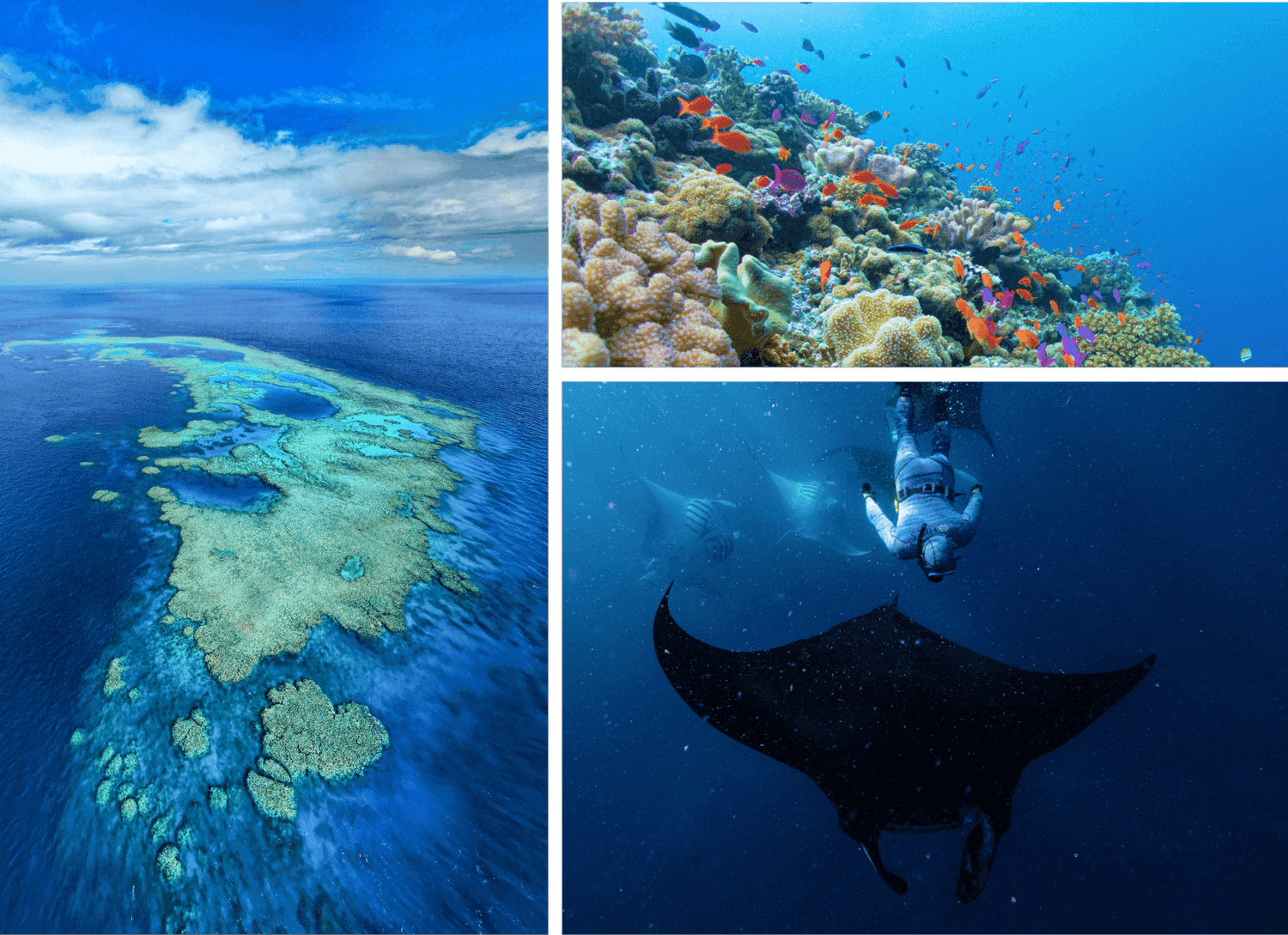 Gen Z Travels - Fiji — photo 2