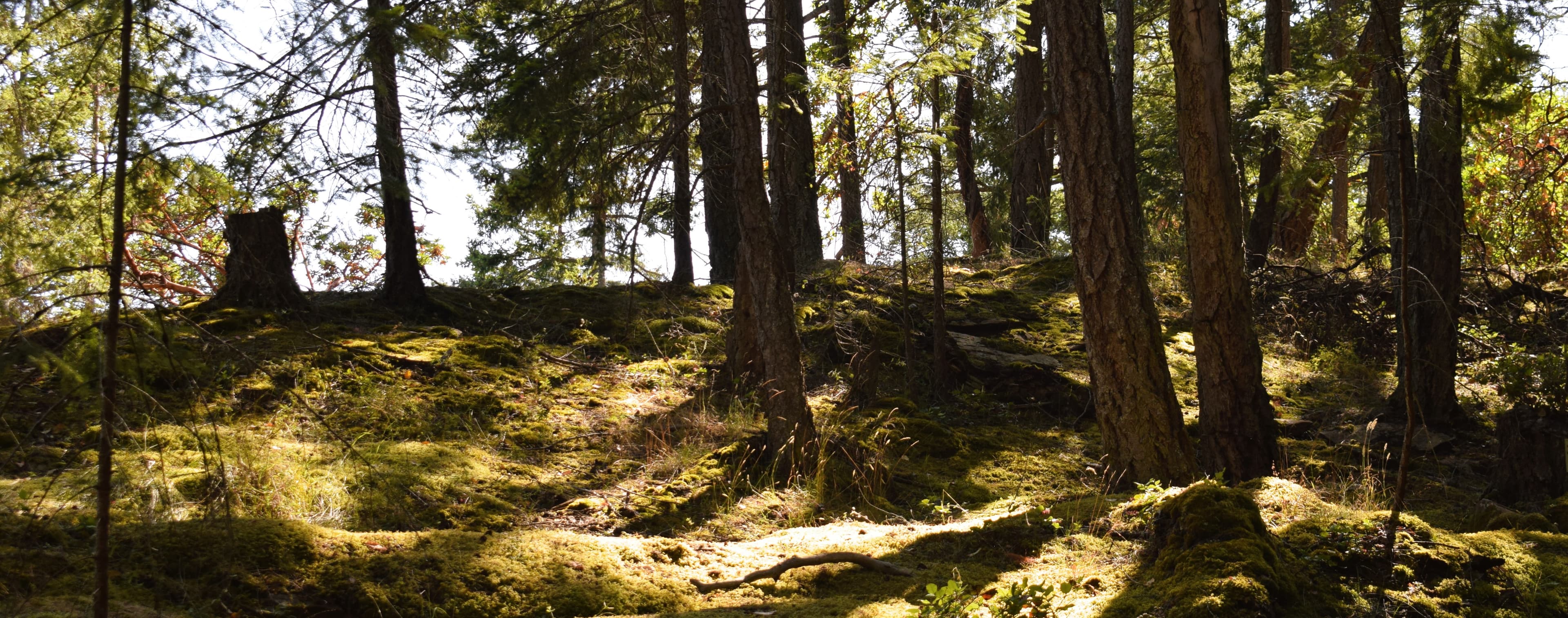 Fireside Adventures Canada — photo 27