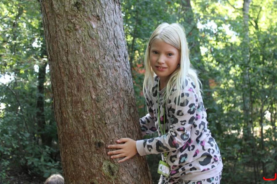 English at Camp - Walsrode - Happy Camper 2