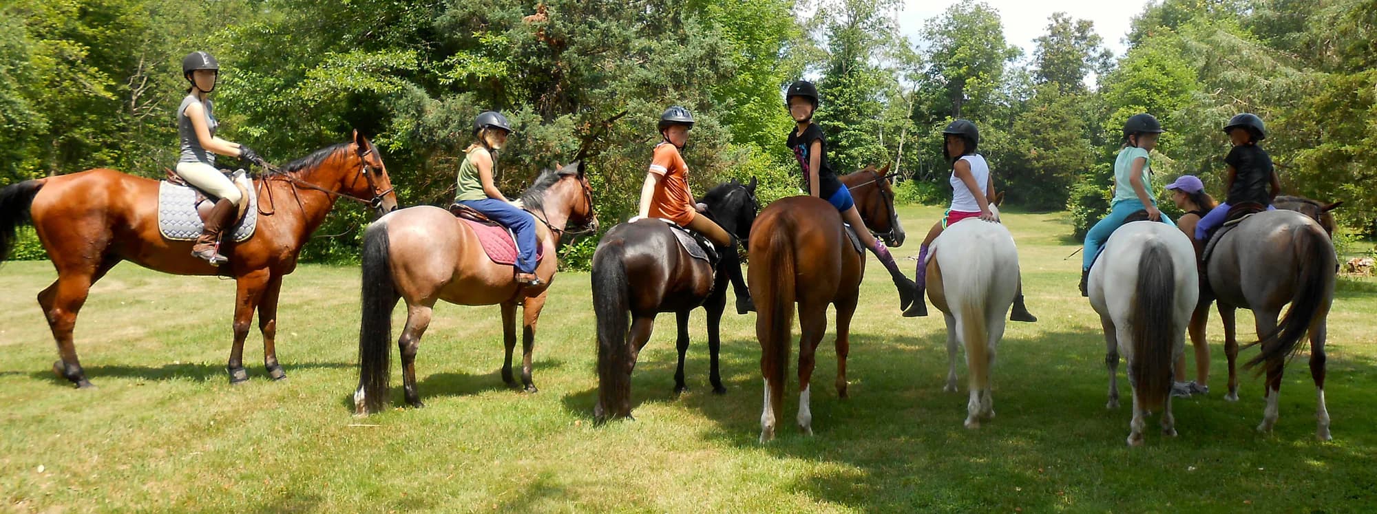 Campamento de Equitación - Walsrode - regular 6