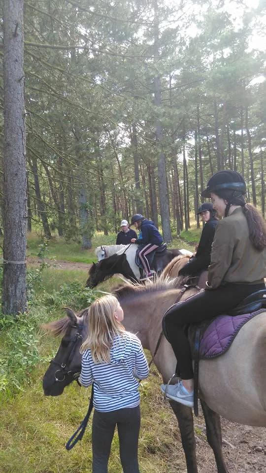 Campamento de Equitación - Walsrode - regular 17