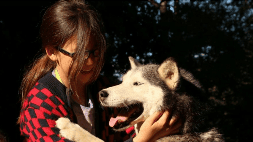 Husky Camp - Walsrode - regular 7