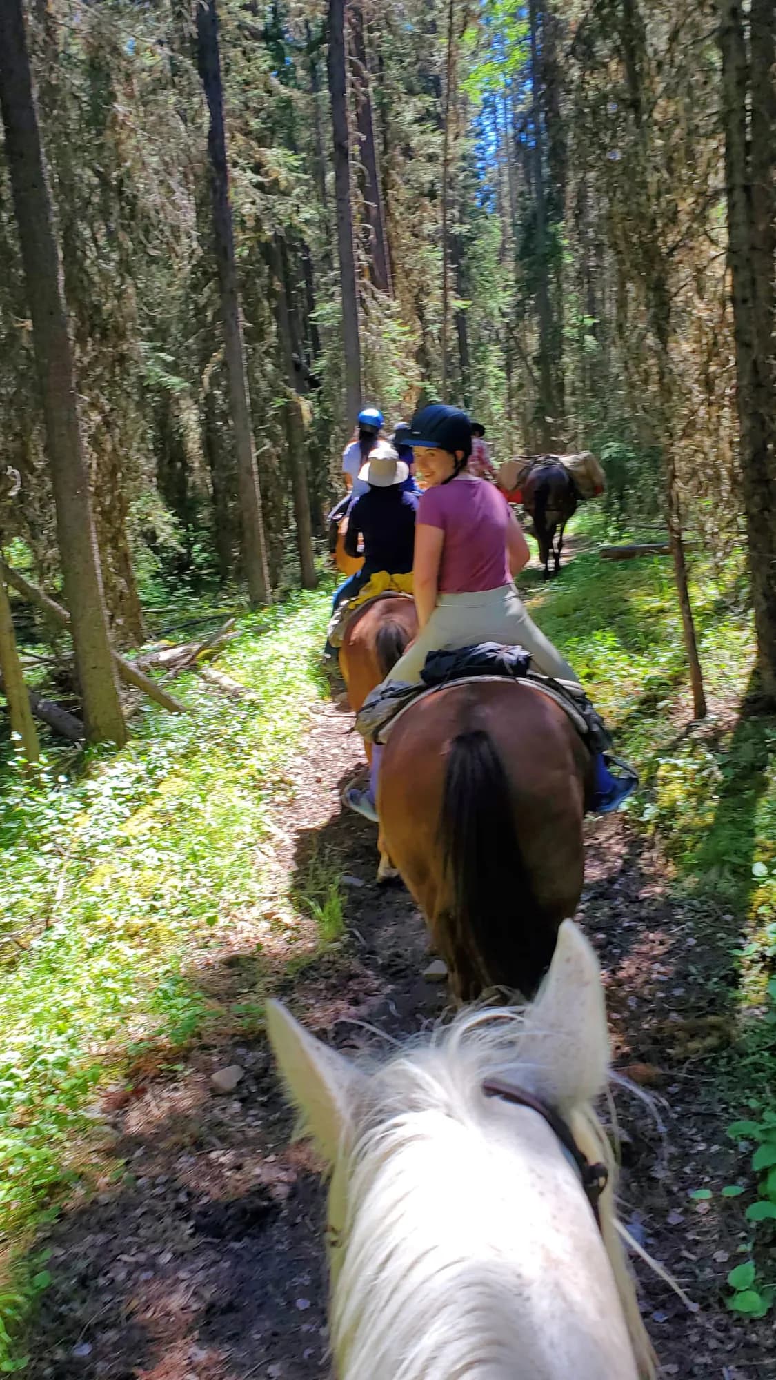 Campamento de Equitación - Walsrode - regular 8
