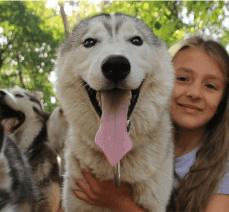 Husky Camp - Walsrode - regular 11