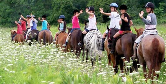 Campamento de Equitación - Walsrode - regular 3
