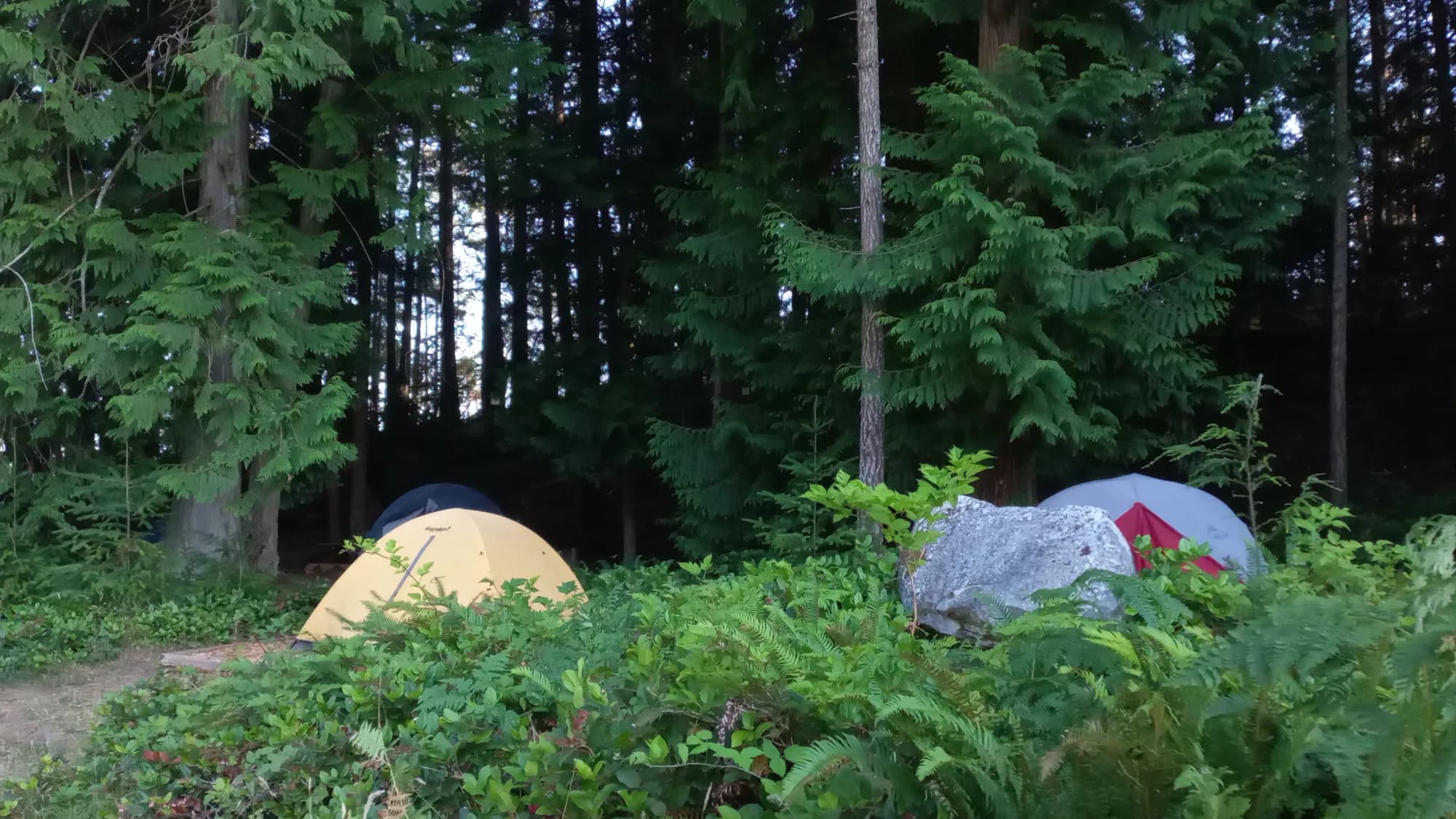 Fireside Kids Camp - Canada - Premises 4