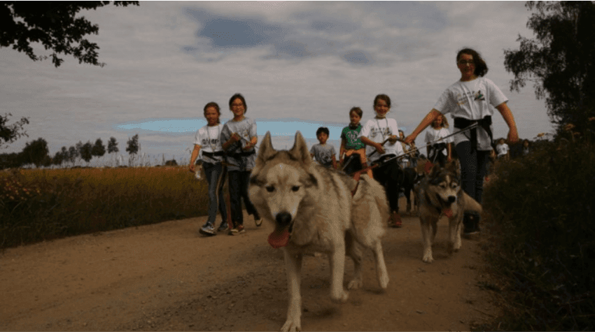 Husky Camp - Walsrode - regular 12