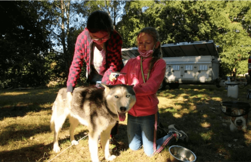 Husky Camp - Walsrode - regular 8