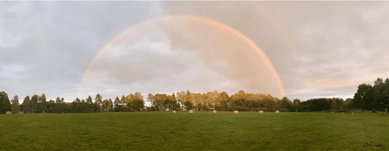 Adventure Sports Camp - Walsrode Evening - Activities - Evening 1
