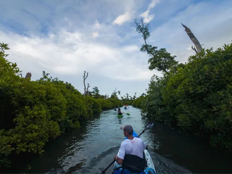 Gen-Z travels - Fiji Afternoon - Activities - Afternoon 1