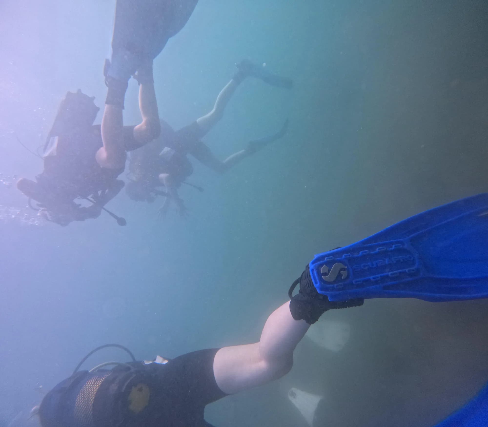 Camp de plongée SCUBA & voile - Barcelone - Landscapes 2