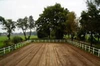 Campamento de Equitación - Walsrode - regular 18