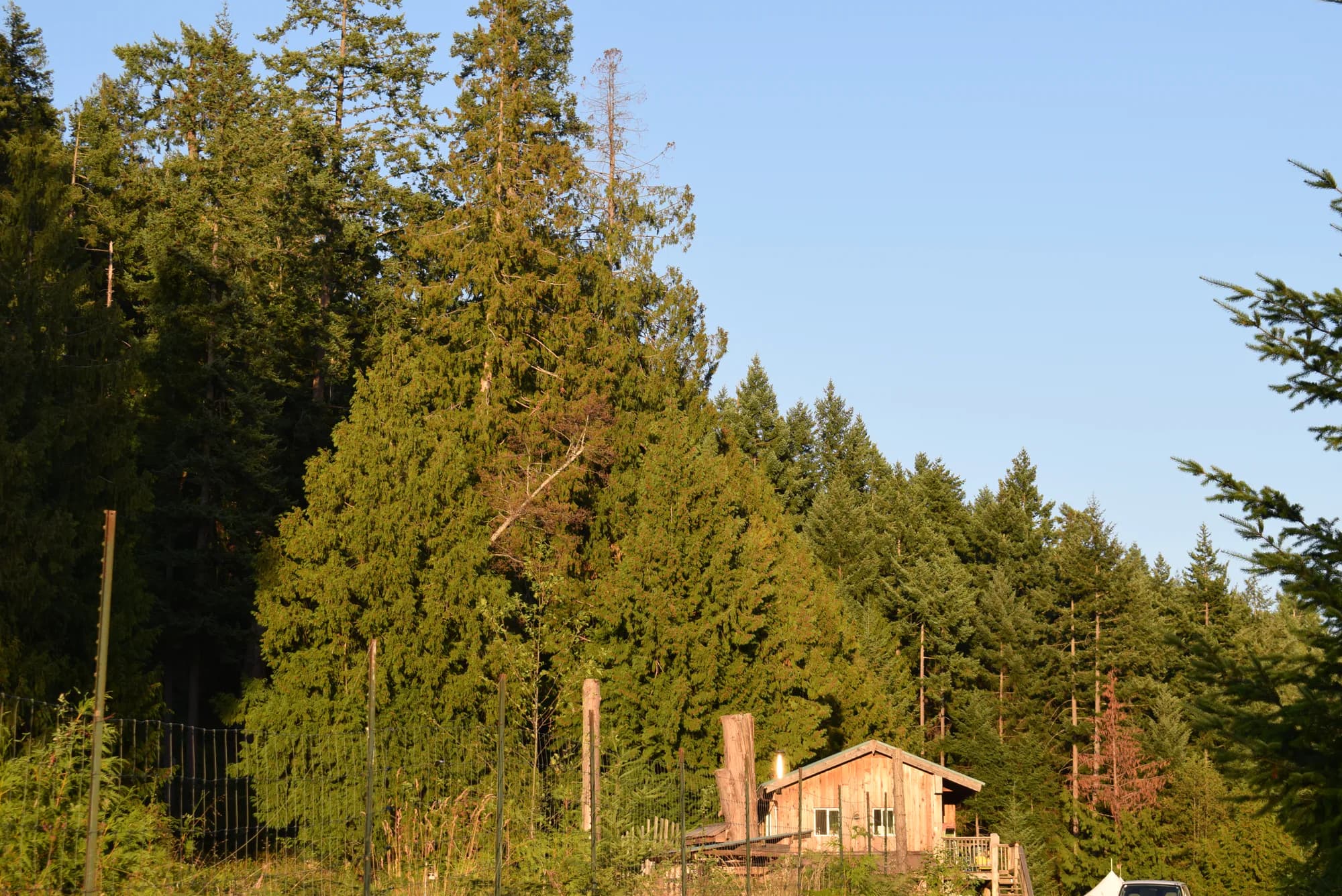 BC Explorer - Canada - Premises 8