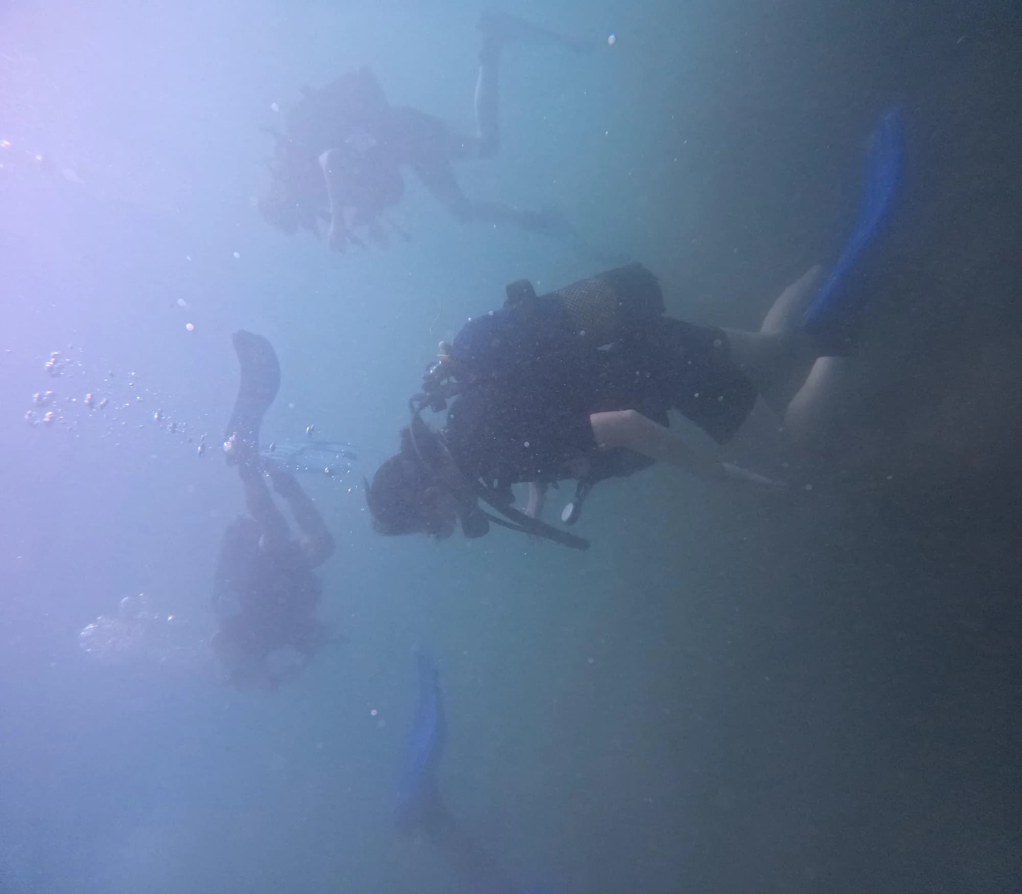 Camp de plongée SCUBA & voile - Barcelone - Happy Camper 18